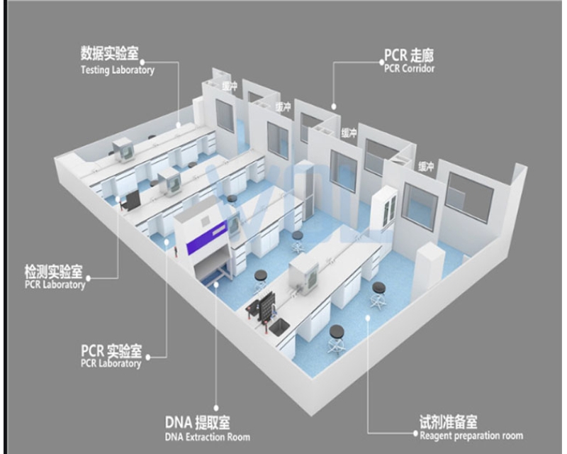 临床基因扩增（PCR）实验室设计探讨